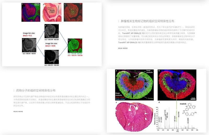  MS IMAGING 细节展示