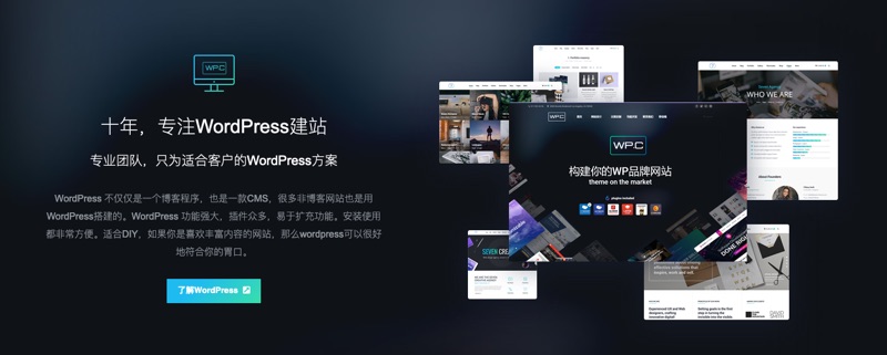  WordPress CMS 细节展示